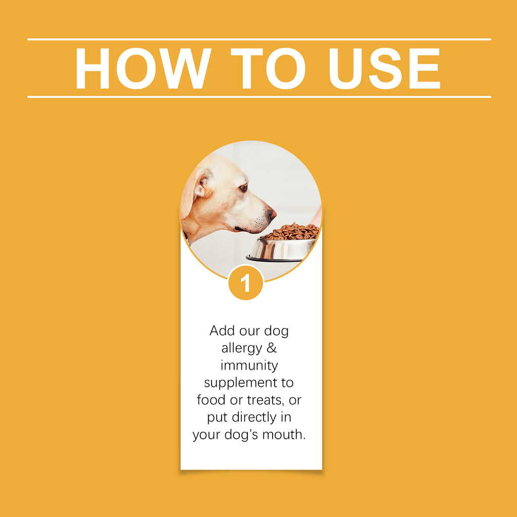 Dog Body Care Drops, Care And Relieve Pet Body Discomfort Nutritional Care Supplements